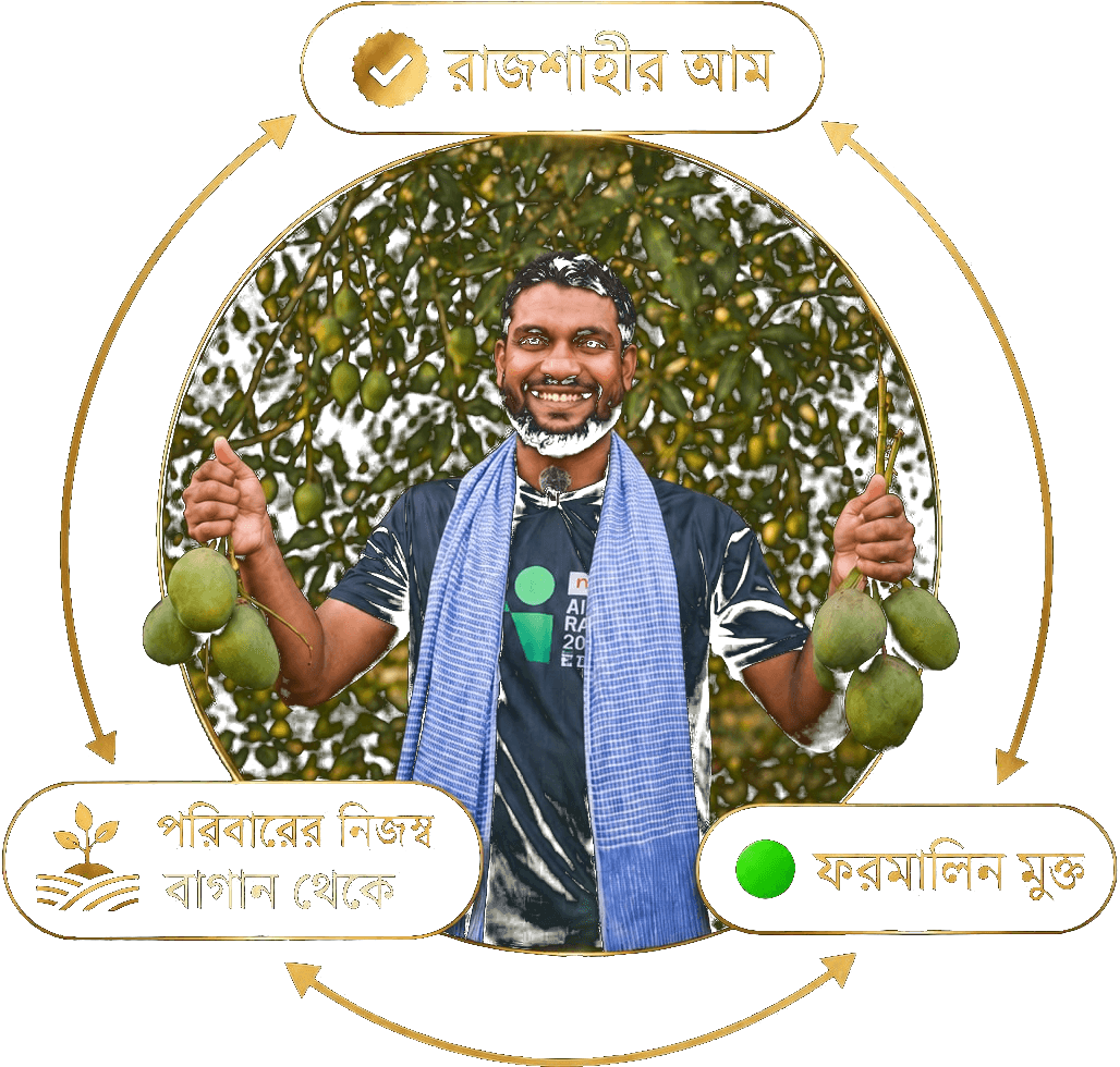 রাজশাহীর গাছপাকা আম
